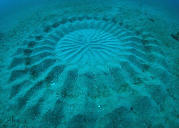 underwater-mystery-circle-3